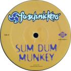 Sum Dum Munkey / Visions (20/20)