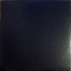 Voices Inside My Head