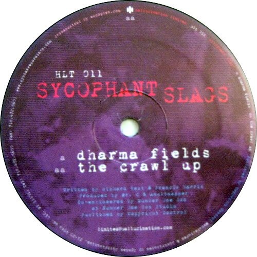 Dharma Fields / The Crawl Up