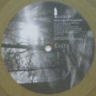 Skulking In The Shadow