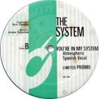 You&#39;re In My System (Kerri Chandler Remixes)